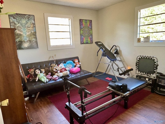 exercise area with wood finished floors