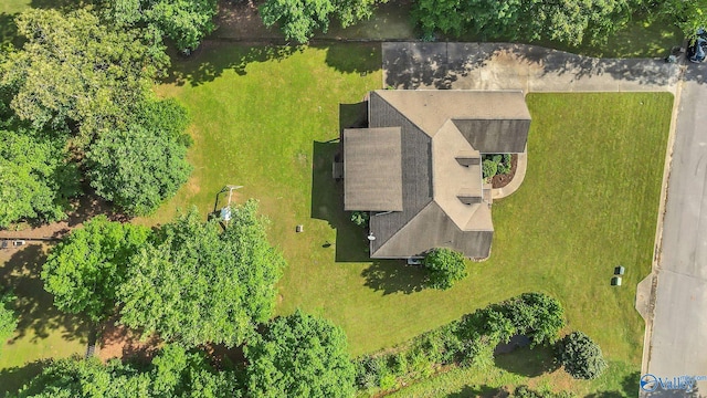 11266 Maggie Lou Dr, Tanner, AL 35671 - view of subject property