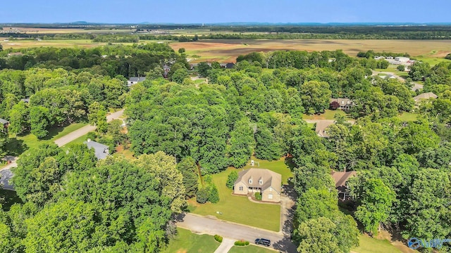 11266 Maggie Lou Dr, Tanner, AL 35671 - bird's eye view