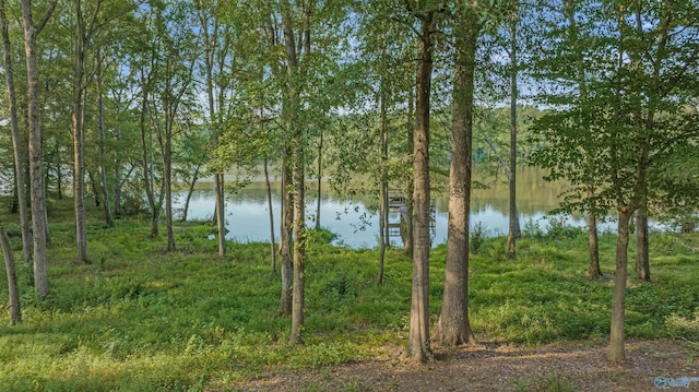17207 County Road 22, Centre, AL 35960 - water view