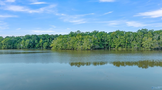 17207 County Road 22, Centre, AL 35960 - water view featuring a heavily wooded area
