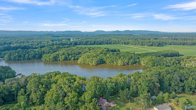 17207 County Road 22, Centre, AL 35960 - aerial view of property and surrounding area featuring a forest and a water and mountain view