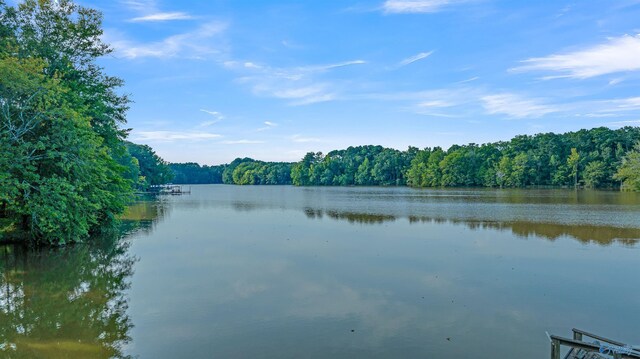 17207 County Road 22, Centre, AL 35960 - water view featuring a heavily wooded area