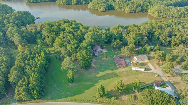 17207 County Road 22, Centre, AL 35960 - aerial overview of property's location with a nearby body of water and a forest