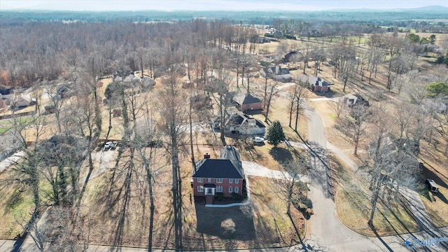 bird's eye view