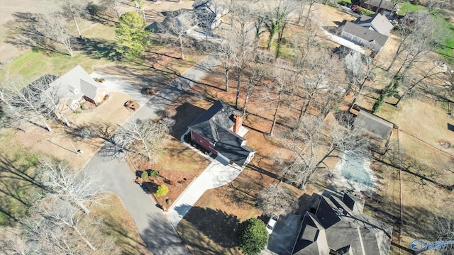 bird's eye view