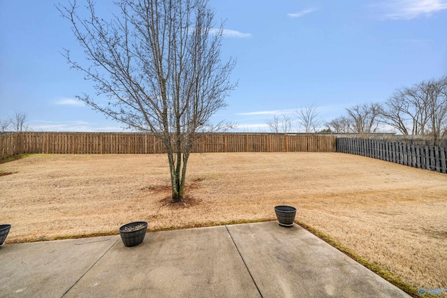 view of yard featuring a patio