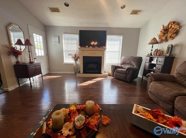 living room with a textured ceiling and dark hardwood / wood-style flooring