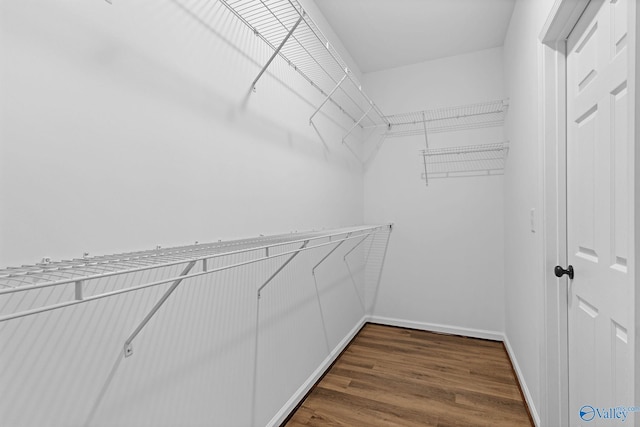 walk in closet featuring dark wood-style flooring