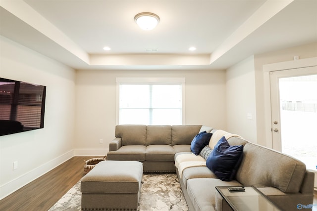 living room featuring wood-type flooring and a raised ceiling