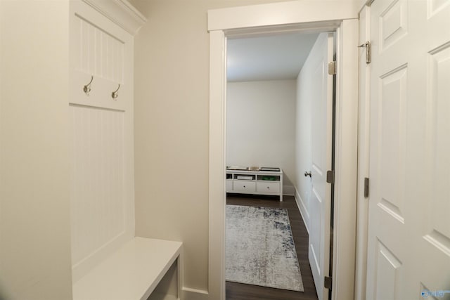 mudroom featuring dark wood-type flooring