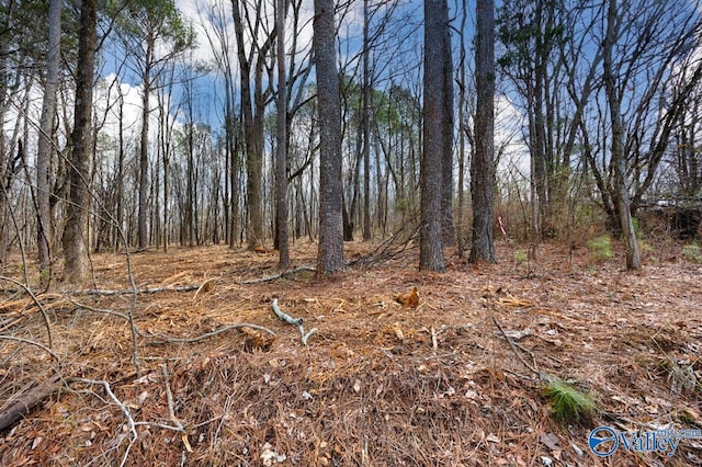 Listing photo 3 for 3.39ACRES Travis Rd NW, Huntsville AL 35806