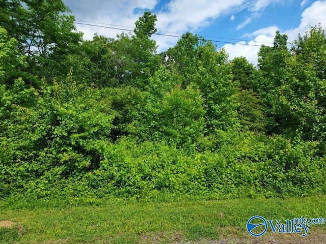 LOT Dolphin Point Dr, Langston AL, 35755 land for sale