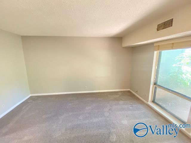 carpeted spare room with a textured ceiling