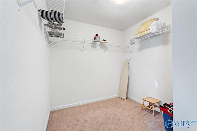 spacious closet with carpet floors