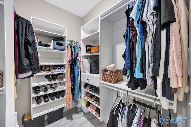 view of walk in closet