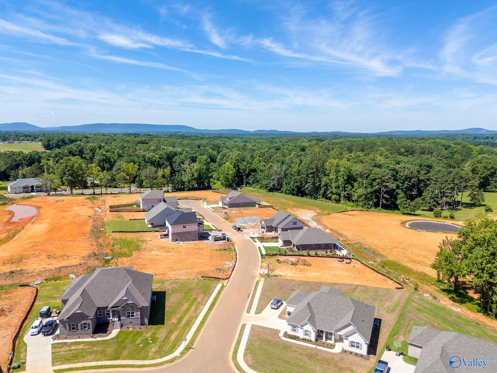 104 Ayers Spring Rd, New Market, AL 35761 - aerial view of residential area with a forest