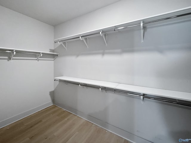 walk in closet featuring wood finished floors