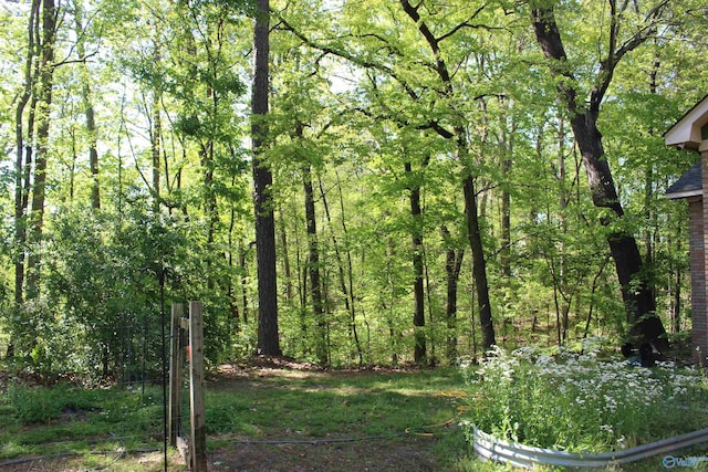 view of local wilderness with a view of trees