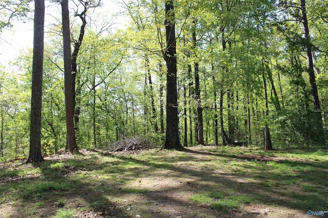 view of landscape featuring a wooded view