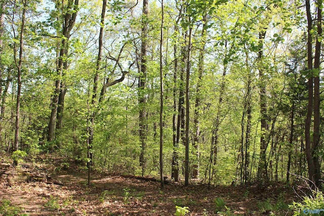 view of local wilderness featuring a forest view