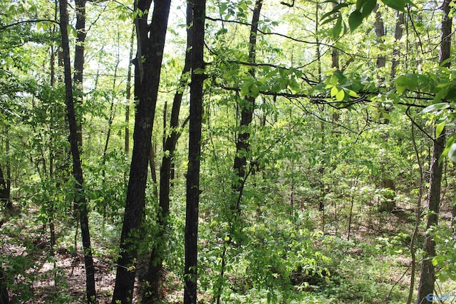 view of landscape with a forest view