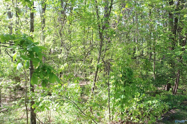 view of local wilderness with a view of trees