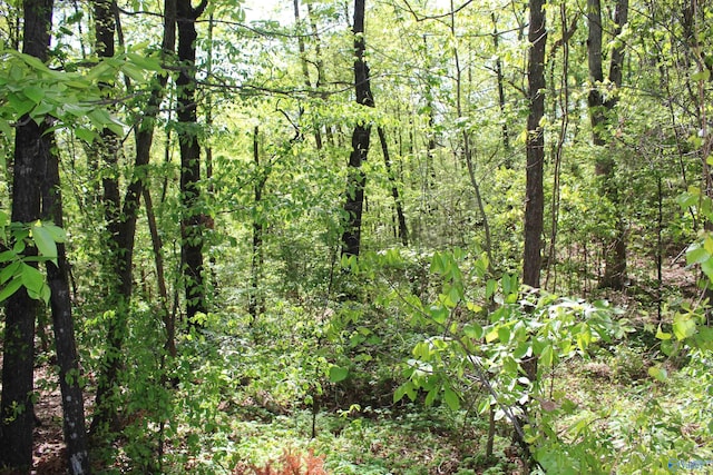 view of nature with a view of trees