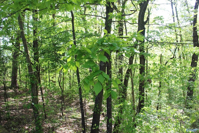 view of nature featuring a wooded view