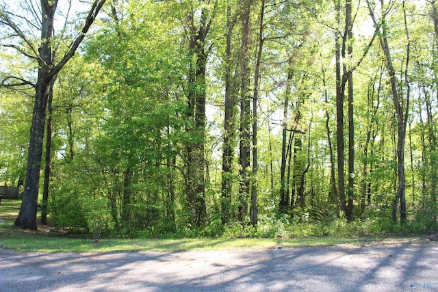 view of landscape featuring a wooded view