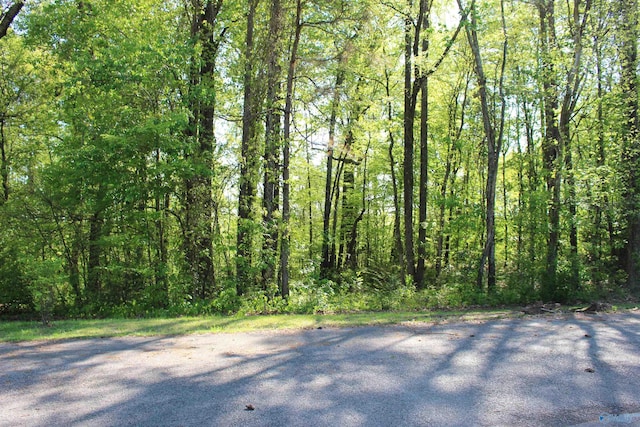 view of nature featuring a wooded view
