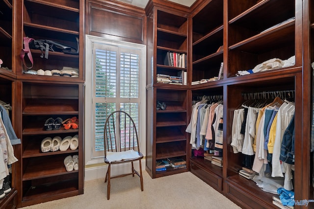walk in closet featuring carpet floors