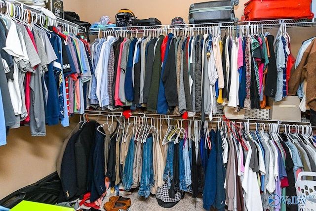 view of walk in closet