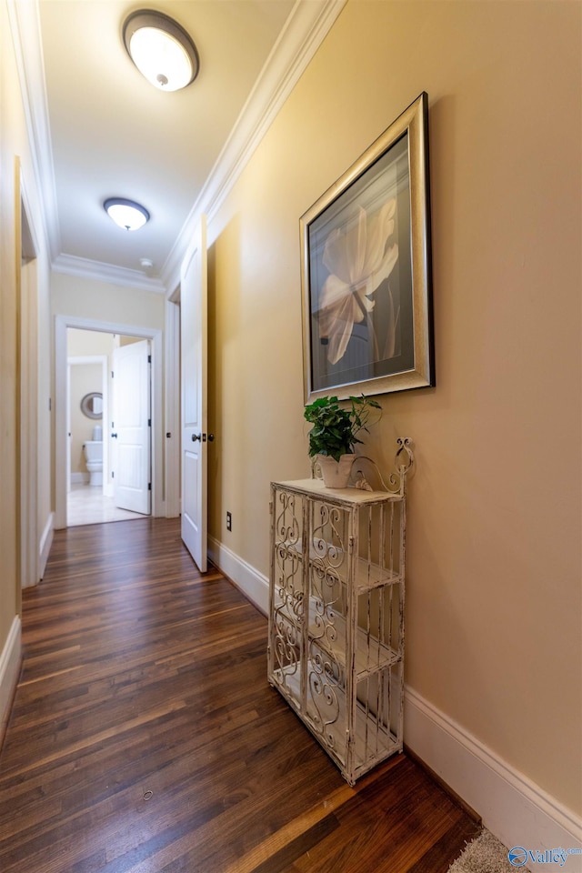 1805 Sibert Dr, Glencoe, AL 35905 - corridor with ornamental molding, dark wood-style floors, and baseboards