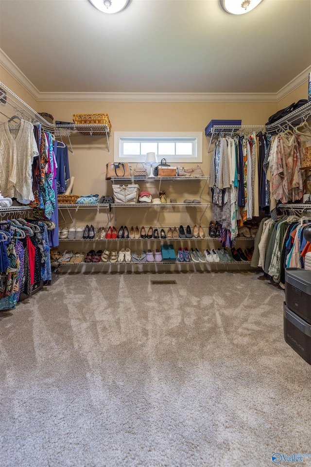1805 Sibert Dr, Glencoe, AL 35905 - walk in closet with carpet