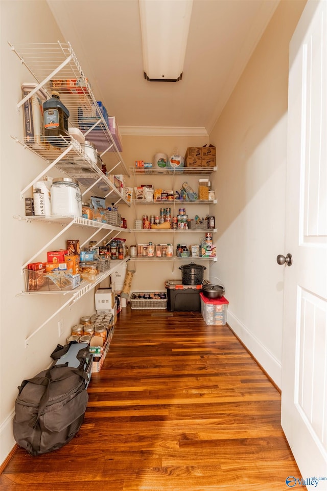 1805 Sibert Dr, Glencoe, AL 35905 - view of pantry