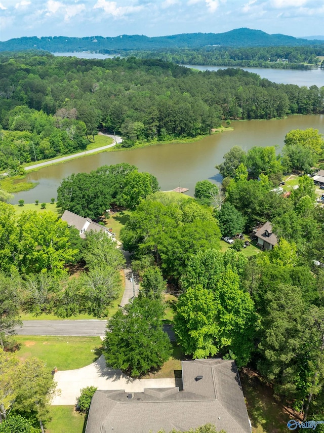 1805 Sibert Dr, Glencoe, AL 35905 - drone / aerial view of a heavily wooded area and a large body of water