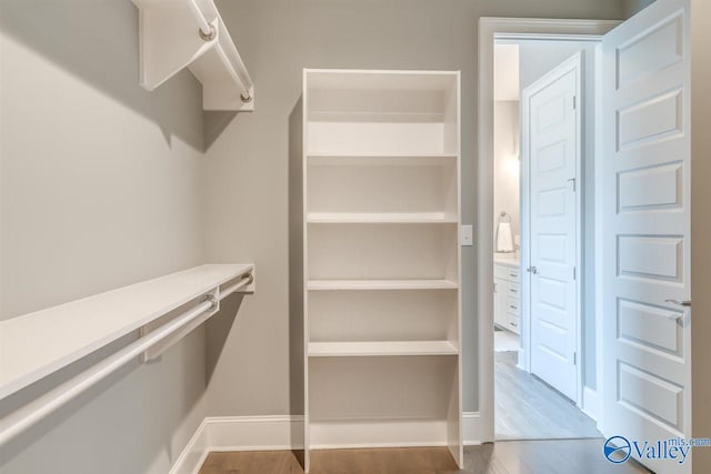 spacious closet with light wood-type flooring