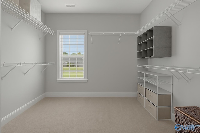 walk in closet featuring carpet and visible vents