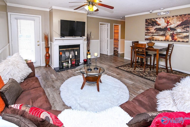 living room featuring crown molding, wood finished floors, a glass covered fireplace, and a ceiling fan
