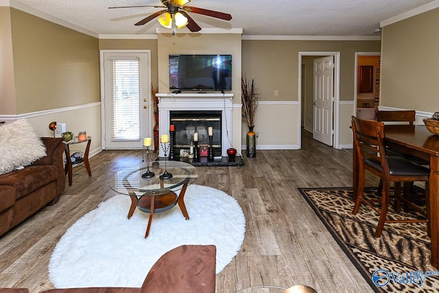 living area featuring crown molding, wood finished floors, ceiling fan, and a textured ceiling