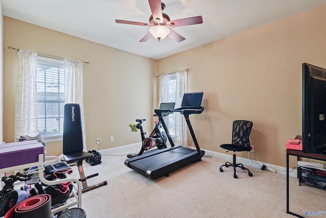 exercise area featuring ceiling fan and carpet