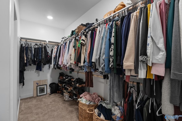 spacious closet featuring carpet flooring