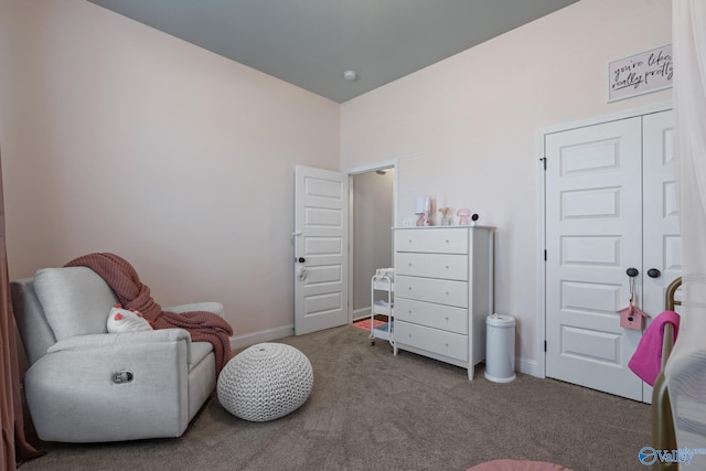 living area featuring carpet floors