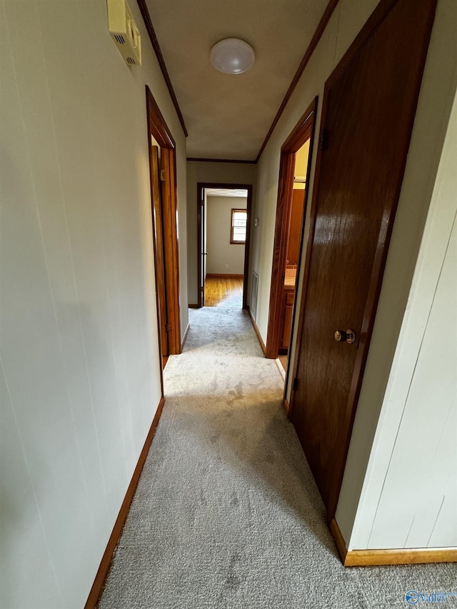 hall with ornamental molding and light colored carpet