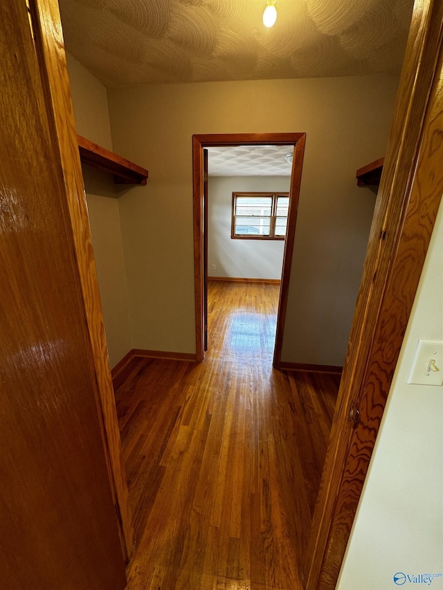 spacious closet featuring hardwood / wood-style flooring