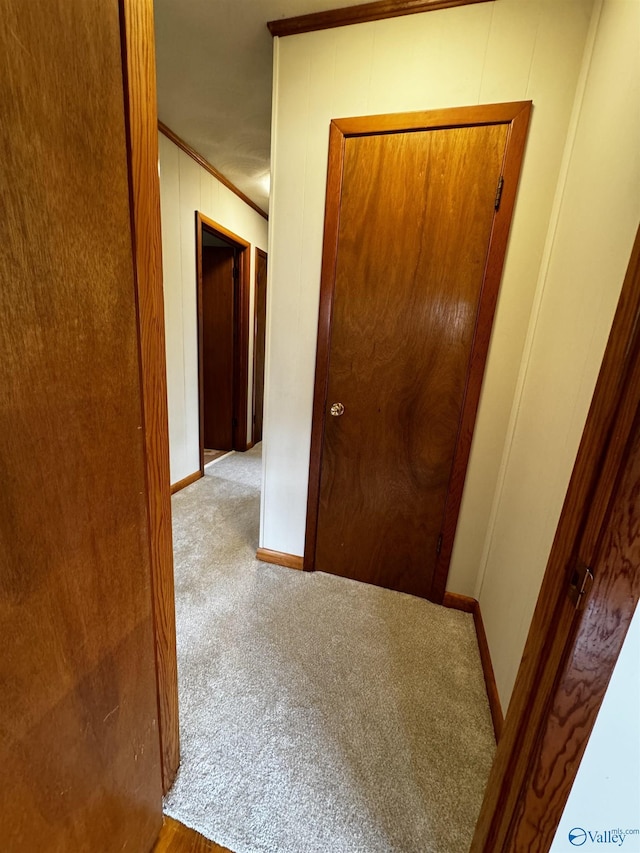 hall with light carpet, ornamental molding, and wood walls