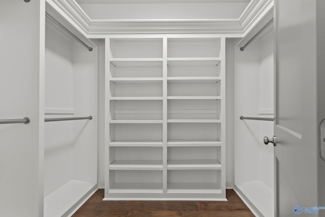 walk in closet with dark wood-style floors