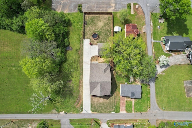 bird's eye view