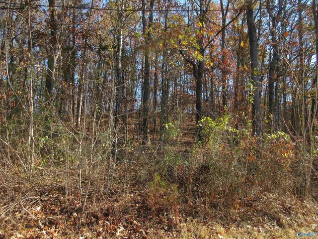 27 Sumner Dr, Scottsboro AL, 35769 land for sale